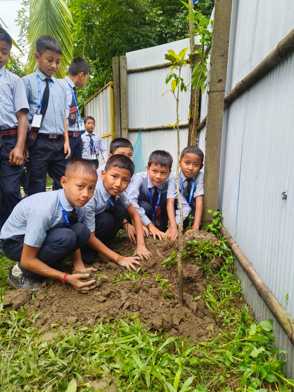 Hands in the Soil
